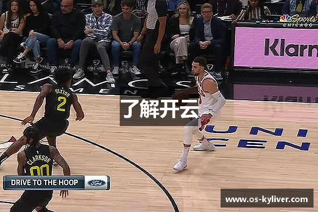 了解开云